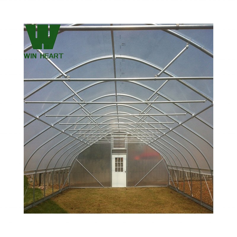other greenhouses single span high tunnel tomato plastic agricultural greenhouse