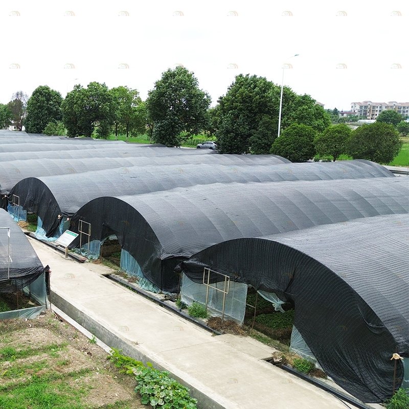 Mushroom growing side ventilation system light deprivation greenhouse black plastic film agriculture mushroom greenhouse