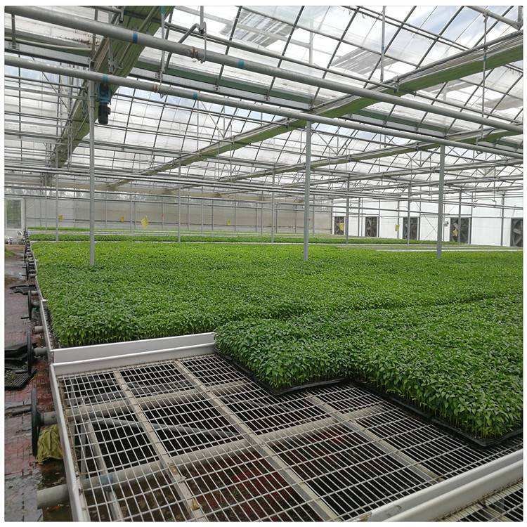 Manufacture Price China Supplier Agriculture Greenhouse Mobile Tidal Seedbed