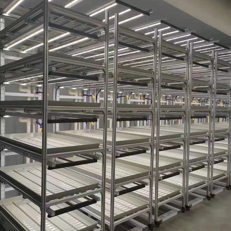 Manufacture Price China Supplier Agriculture Greenhouse Mobile Tidal Seedbed