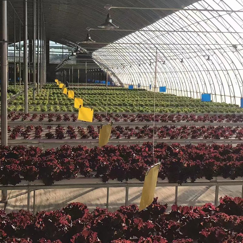 Manufacture Price China Supplier Agriculture Greenhouse Mobile Tidal Seedbed