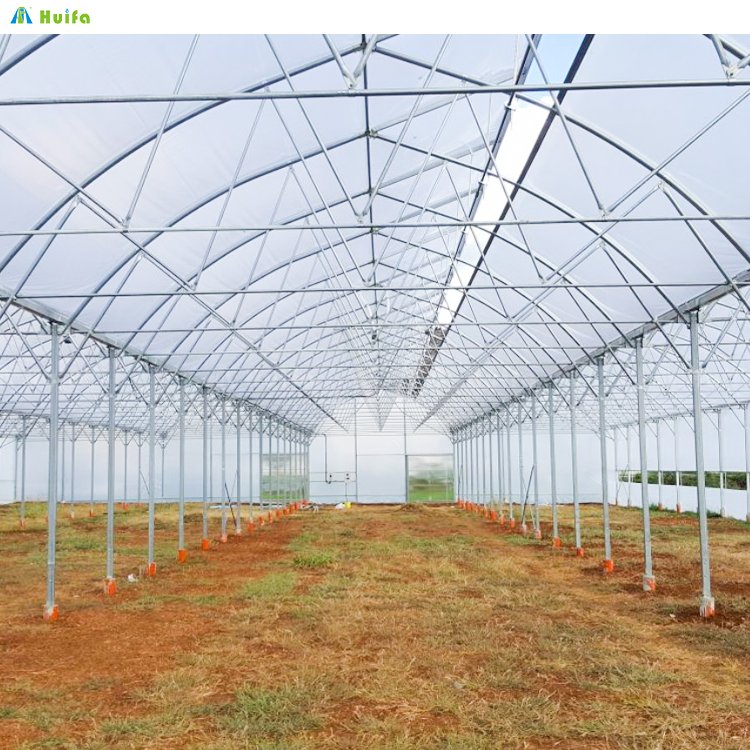 Commercial Single Span Tunnel Structure Plastic Film Cover Green House For Sale Metal Frame Agriculture Farming Greenhouse