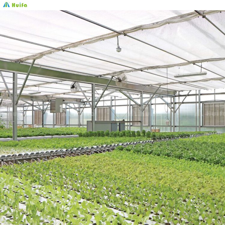 Commercial Single Span Tunnel Structure Plastic Film Cover Green House For Sale Metal Frame Agriculture Farming Greenhouse