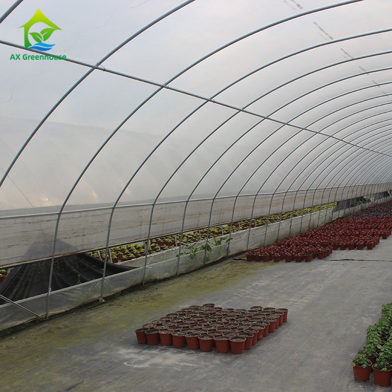 Wholesale Small Tunnel Strawberry Agricultural Green House Plastic Film Single-span Greenhouse For Sale