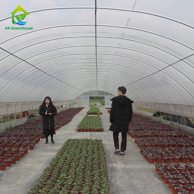 Wholesale Small Tunnel Strawberry Agricultural Green House Plastic Film Single-span Greenhouse For Sale