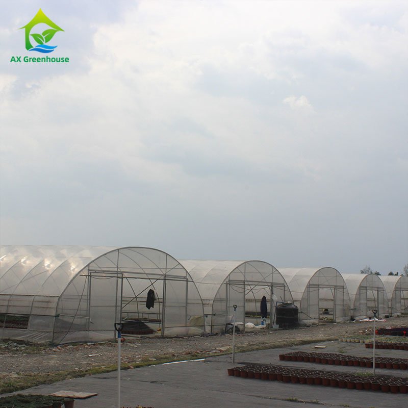 Wholesale Small Tunnel Strawberry Agricultural Green House Plastic Film Single-span Greenhouse For Sale