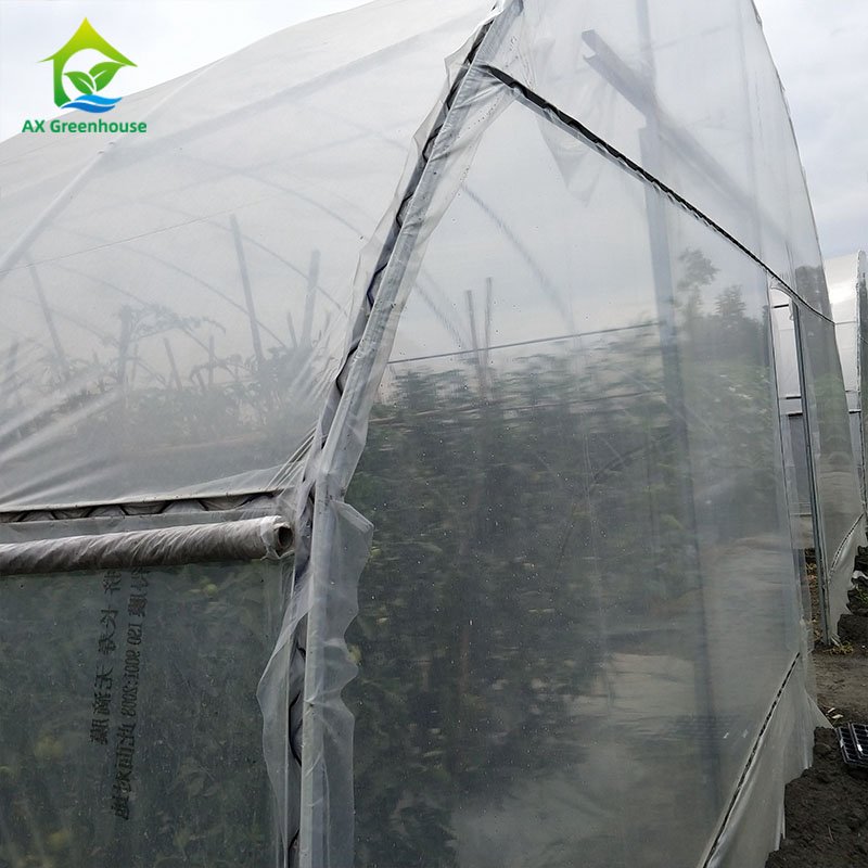 Wholesale Small Tunnel Strawberry Agricultural Green House Plastic Film Single-span Greenhouse For Sale
