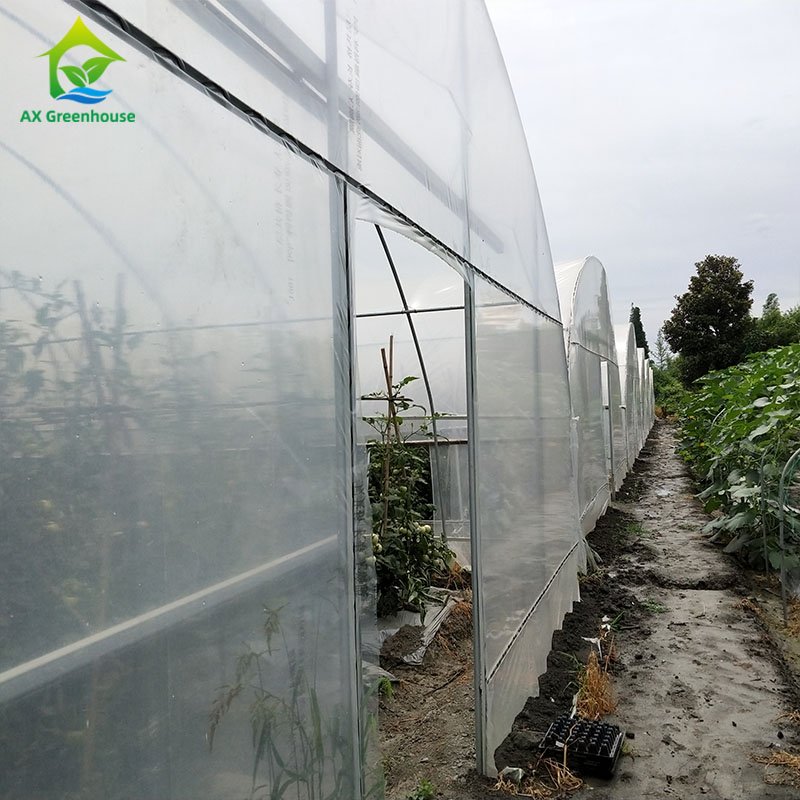 Wholesale Small Tunnel Strawberry Agricultural Green House Plastic Film Single-span Greenhouse For Sale