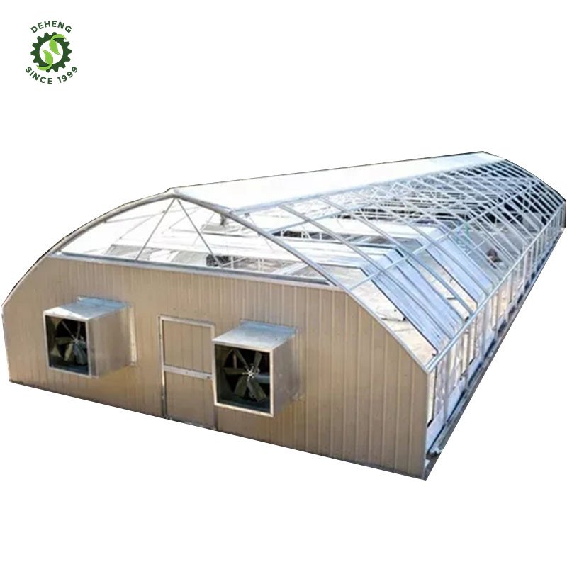 New Innovation Commercial Agriculture Greenhouse Agricultural Tunnel Blackout Greenhouse System