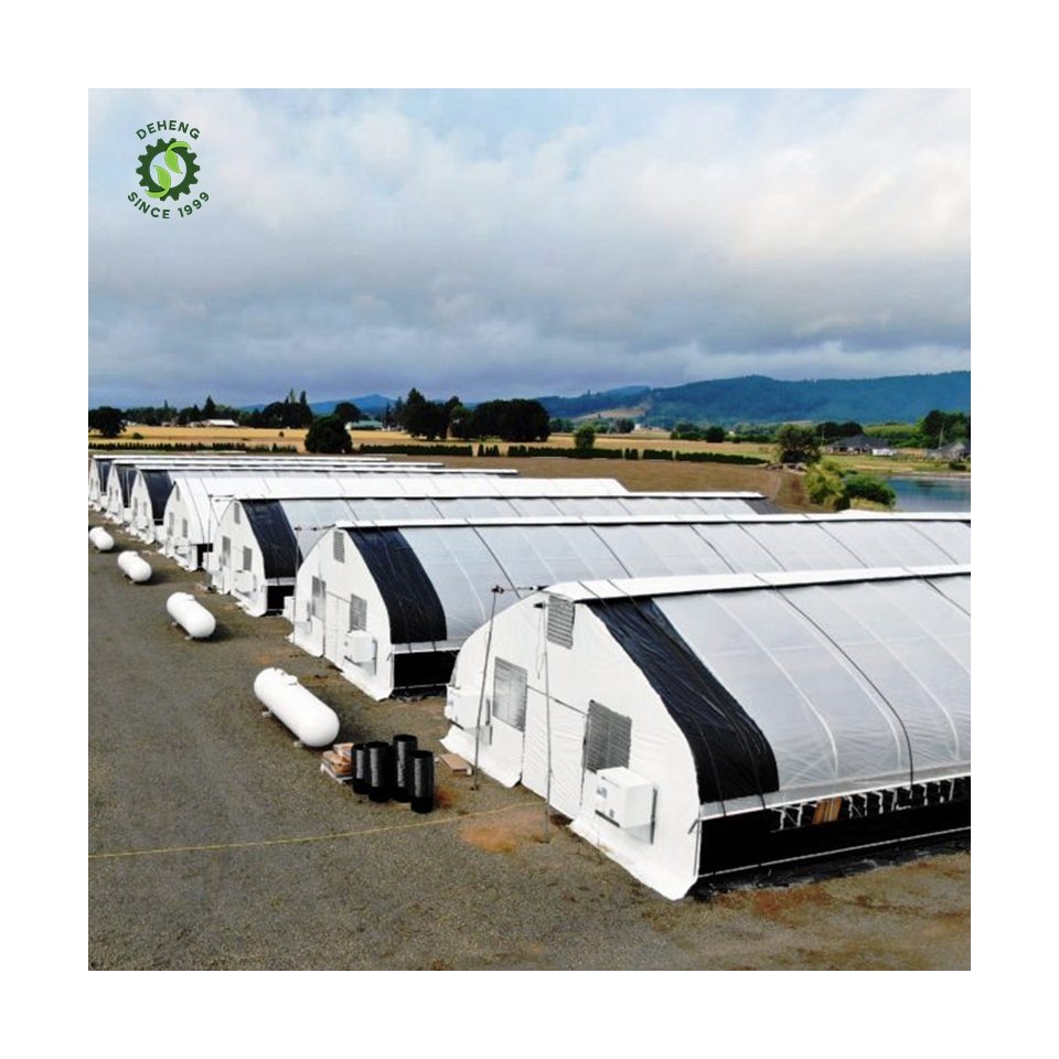 New Innovation Commercial Agriculture Greenhouse Agricultural Tunnel Blackout Greenhouse System