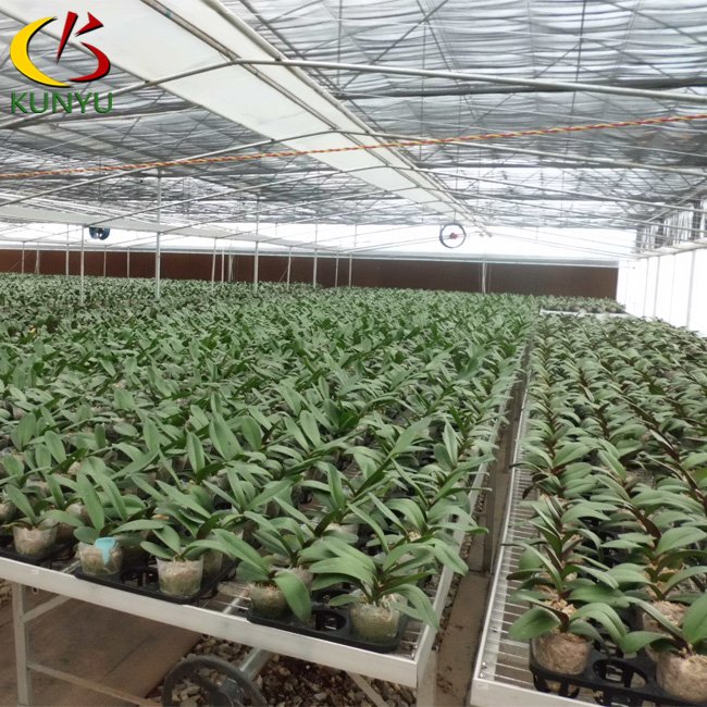 Hot Dip Galvanized Structure Flat Shade House For Agriculture