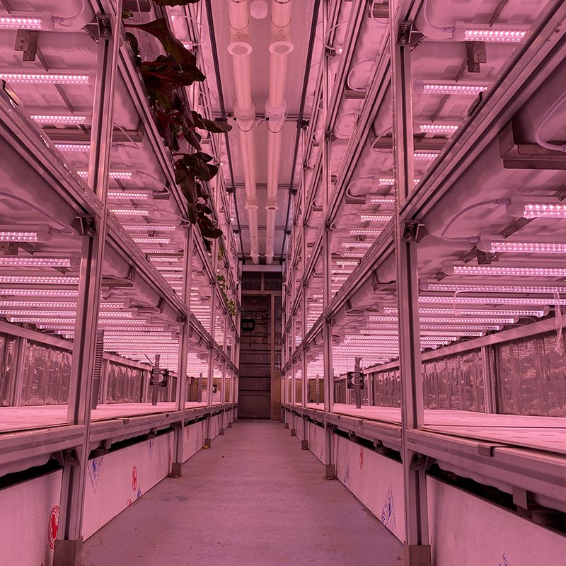Vegetables Grow Greenhouse Farm Container Shipping Container Large Flowers Mobile Ventilation Fan Factory Supply 40ft