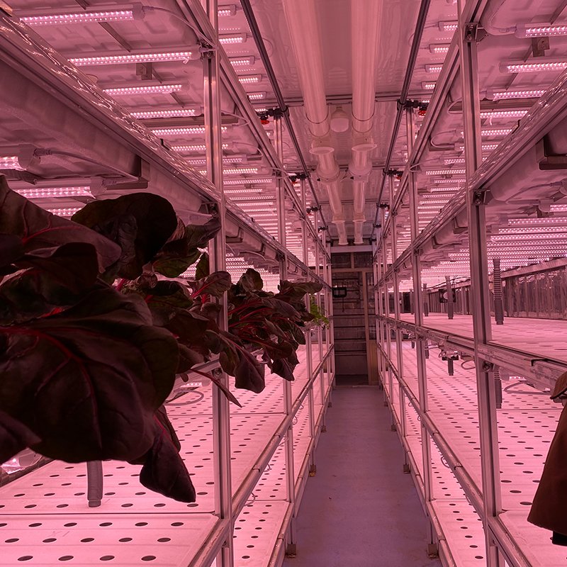 Vegetables Grow Greenhouse Farm Container Shipping Container Large Flowers Mobile Ventilation Fan Factory Supply 40ft