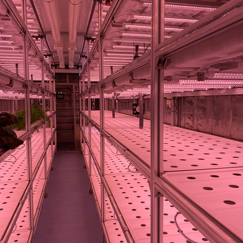 Vegetables Grow Greenhouse Farm Container Shipping Container Large Flowers Mobile Ventilation Fan Factory Supply 40ft