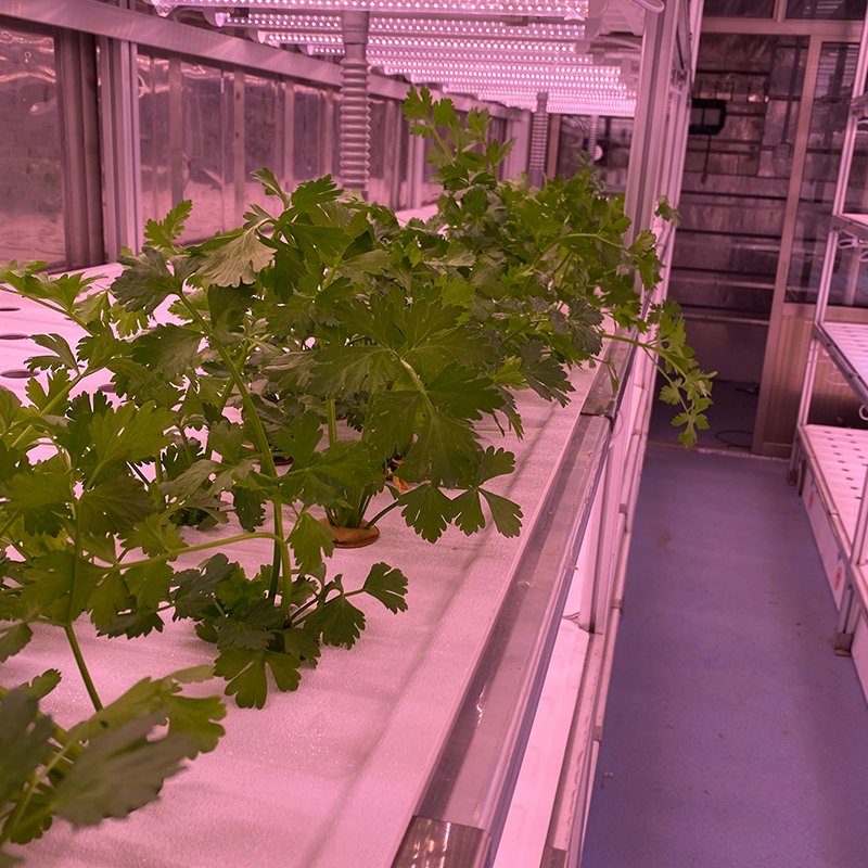 Vegetables Grow Greenhouse Farm Container Shipping Container Large Flowers Mobile Ventilation Fan Factory Supply 40ft