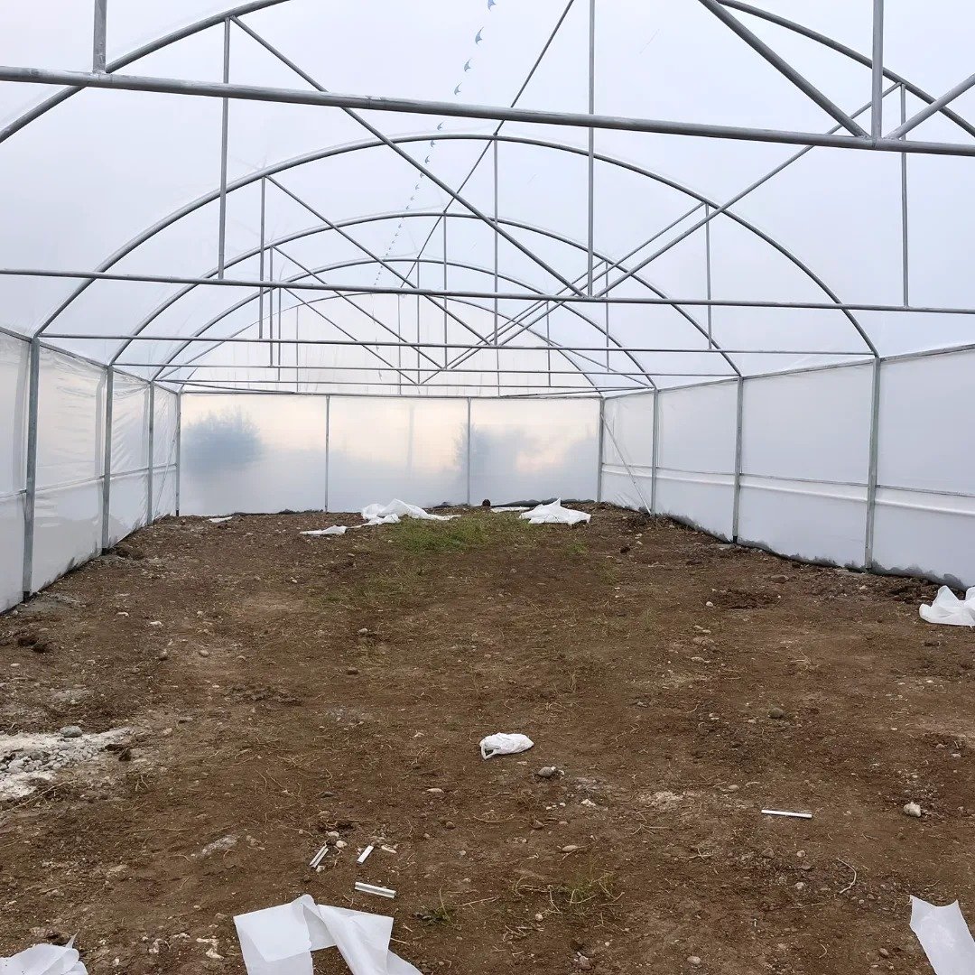 Good Quality And Easily Installed Agricultural/Commercial Green House Greenhouse