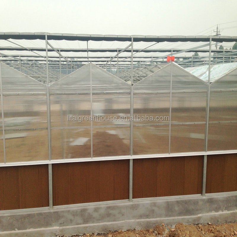 Pc Sheet High Quality Commercial Polycarbonate Greenhouse for Sale Large Hydroponics Grow System Large Green House Covers