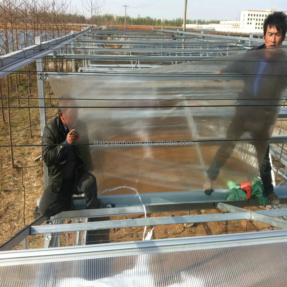 Pc Sheet High Quality Commercial Polycarbonate Greenhouse for Sale Large Hydroponics Grow System Large Green House Covers