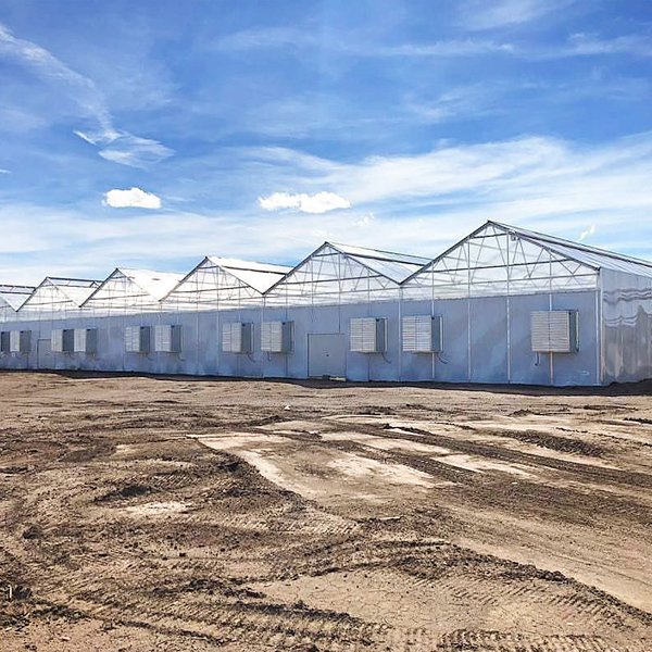 Greenhouses Manufacture House Greenhouse, Agricultural Venlo TYPE Multi-Span Tempered Glass Greenhouse for hydroponics system