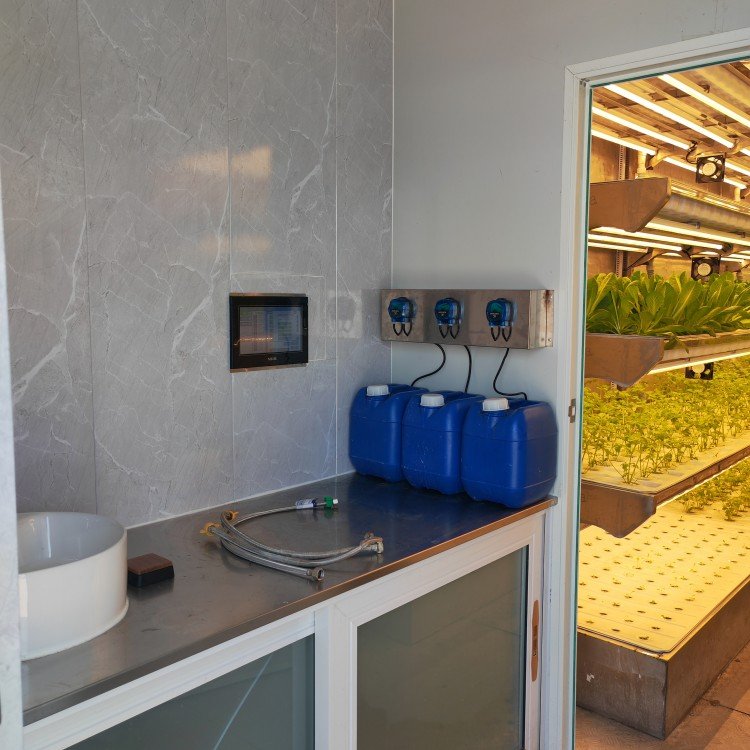 40 ft agricultural greenhouse container plant farm hydroponic smart farming factory