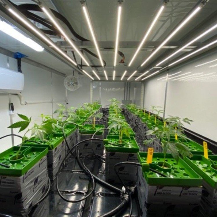 40 ft agricultural greenhouse container plant farm hydroponic smart farming factory