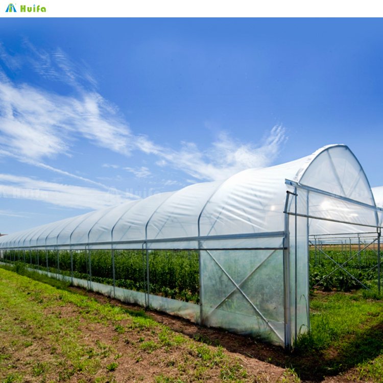 Outdoor Polytunnel Agricultural Greenhouse 40x100 Big Greenhouse For Vegetable Fruit Flower Planting