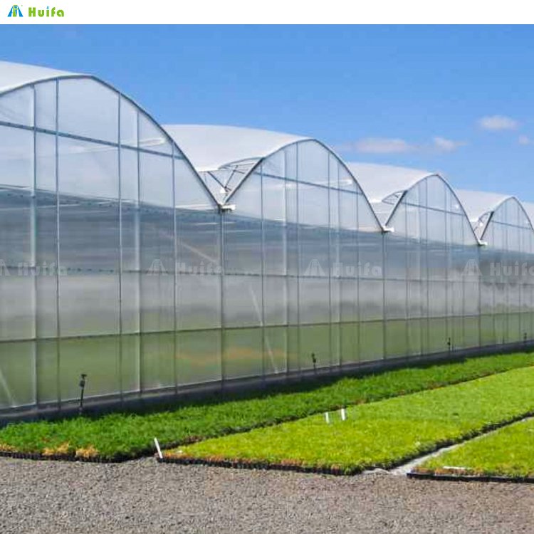 Outdoor Polytunnel Agricultural Greenhouse 40x100 Big Greenhouse For Vegetable Fruit Flower Planting