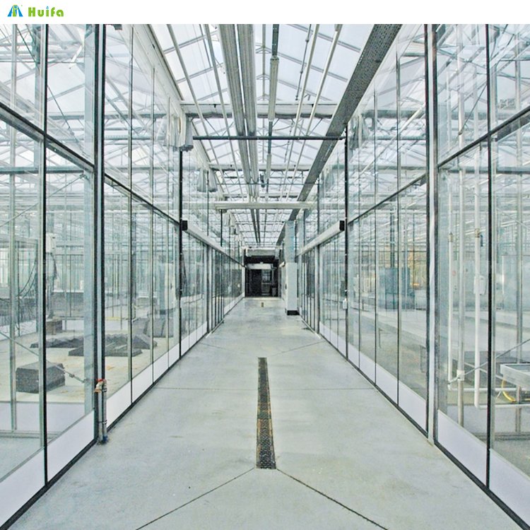 Huifa Greenhouses System For Agriculture Farming Commercial Venlo Large Glass Multi-Span Greenhouse For Plants
