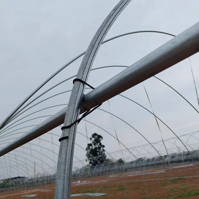 Low Tunnel Agricultural Plastic PE Film Tomato Greenhouse For Vegetable Cultivation
