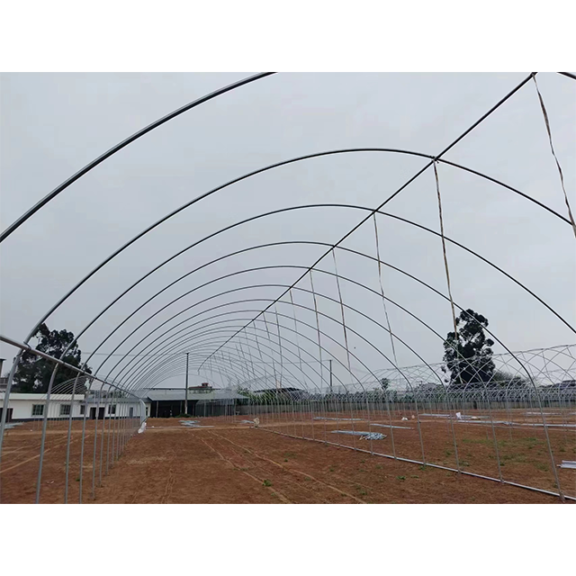 Low Tunnel Agricultural Plastic PE Film Tomato Greenhouse For Vegetable Cultivation