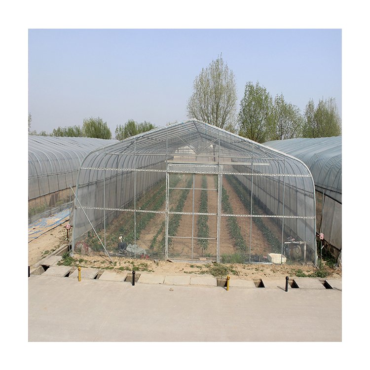 High Quality Agricultural Singlespan Agricultural Greenhouses Plastic Film Vegetables Growing Greenhouse Tunnel