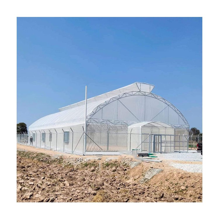High Quality Agricultural Singlespan Agricultural Greenhouses Plastic Film Vegetables Growing Greenhouse Tunnel