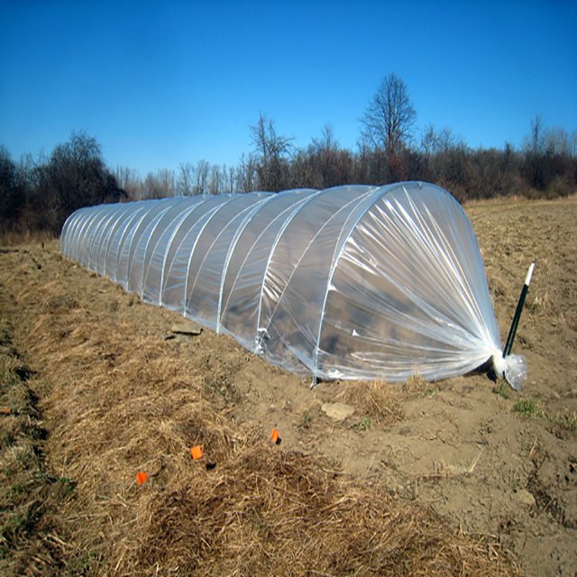 Agricultural durable smart glass greenhouse for sale