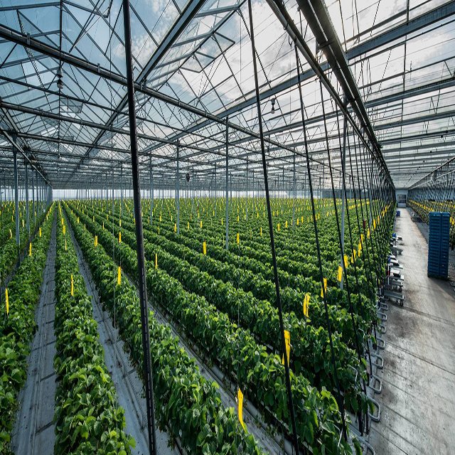 Agricultural durable smart glass greenhouse for sale