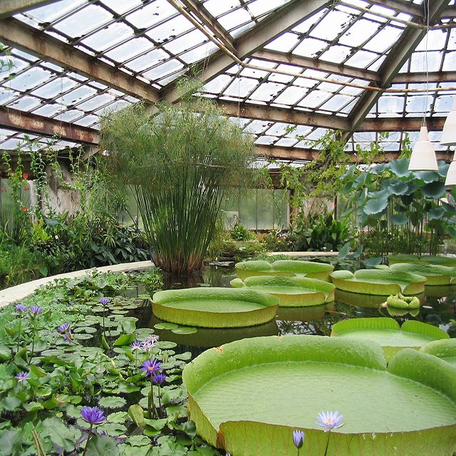 Agricultural durable smart glass greenhouse for sale