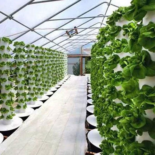 Lyine indoor soilless agriculture hidroponic system agrotonomy vertical farming aeroponic tower in garden