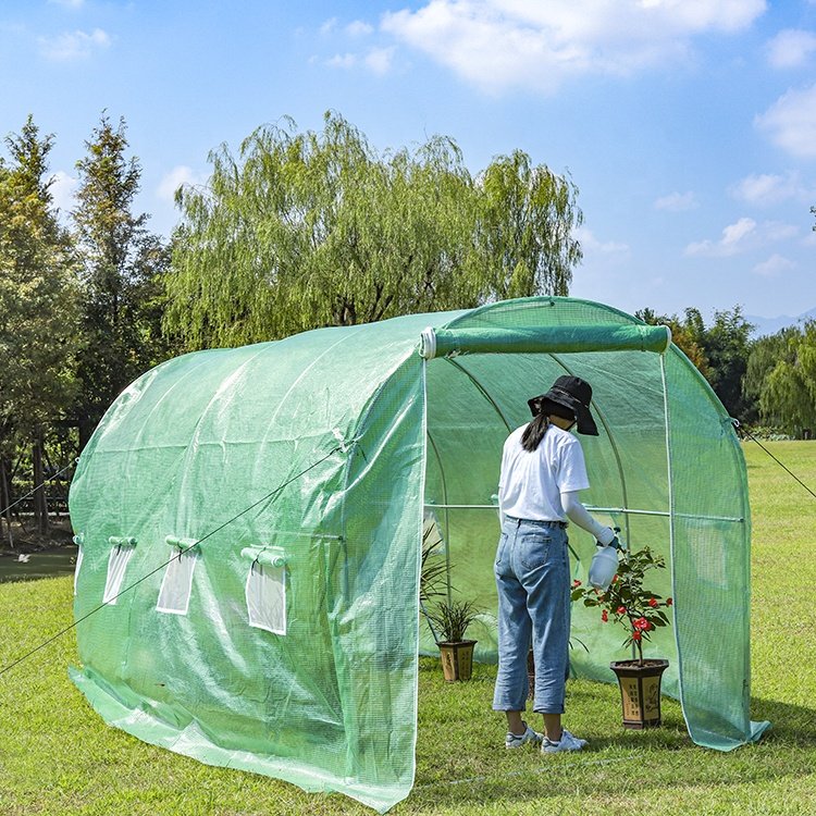 400x200x200cm Small Agricultural Greenhouse Garden Greenhouse for Plant Care