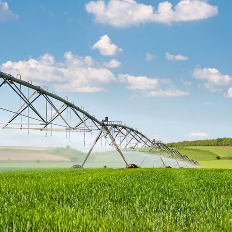 Modern Agricultural Machinery Sprinkler Irrigation Equipment China-Made Factory's Center Pivot Irrigation System Farm Use