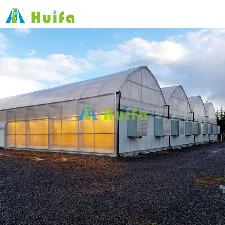 American single-span greenhouses agriculture standard automatic Blackout plastic film greenhouse