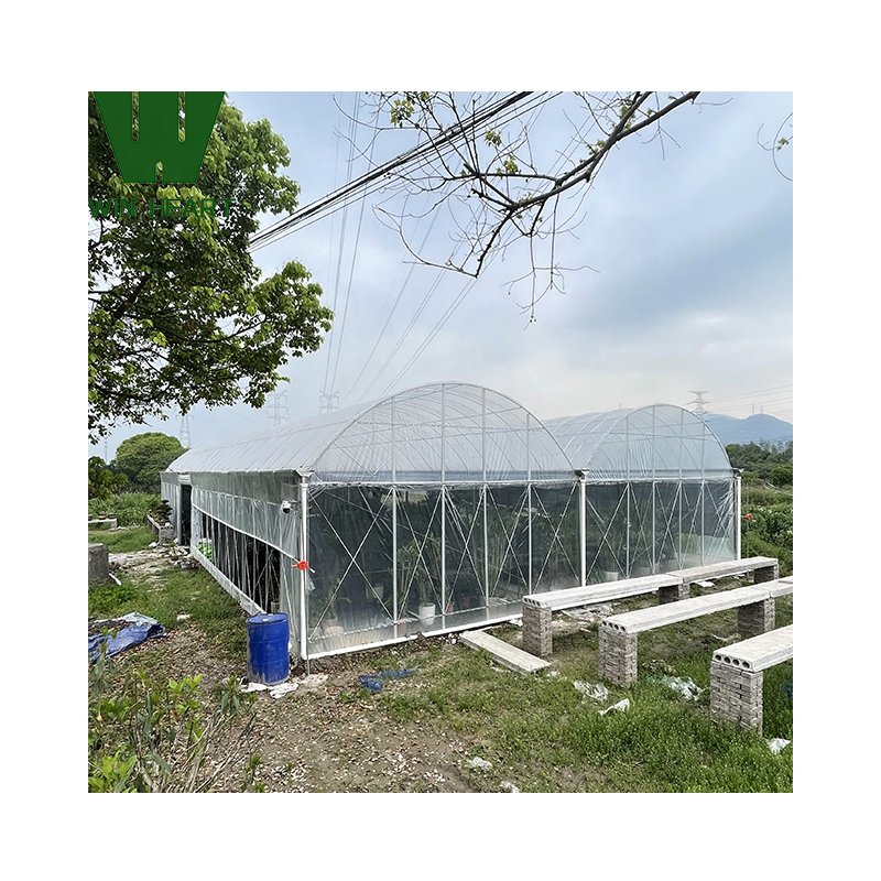 Film Multi-span Greenhouses wet wall greenhouse hoop greenhouse low tunnel