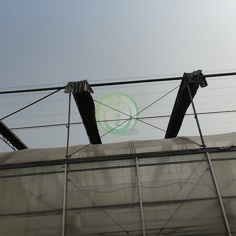 Automatic Shading System Tunnel High Quality Agricultural Greenhouse for Sale