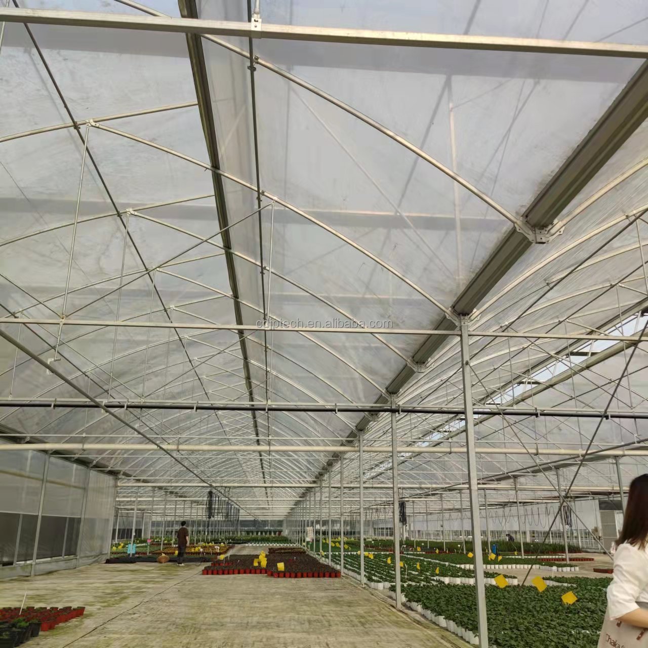 Automatic Shading System Tunnel High Quality Agricultural Greenhouse for Sale