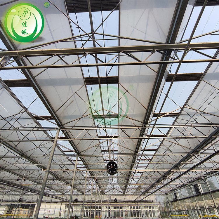 Automatic Shading System Tunnel High Quality Agricultural Greenhouse for Sale