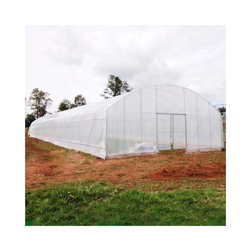 serra di vetro Galvanized Steel Frame Hydroponic Growing System Agricultural Venlo Greenhouse Glass Greenhouse