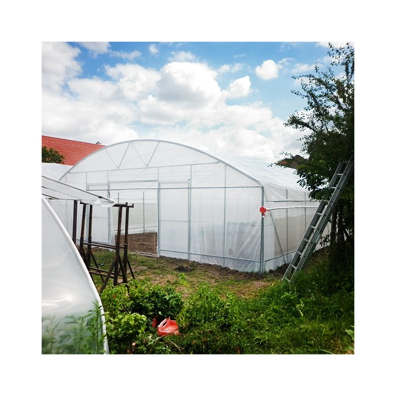 serra di vetro Galvanized Steel Frame Hydroponic Growing System Agricultural Venlo Greenhouse Glass Greenhouse
