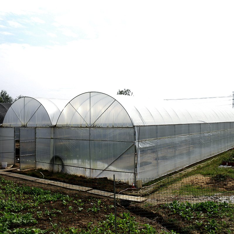 Custom Large Size 90% Light Reflective Silage Black and White Agriculture Poly Film for Greenhouse and Mulching