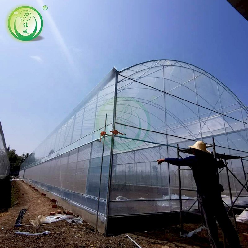 Professional manufacturers chinese agricultural intelligent film serre invernadero multi-span tomato greenhouse structure
