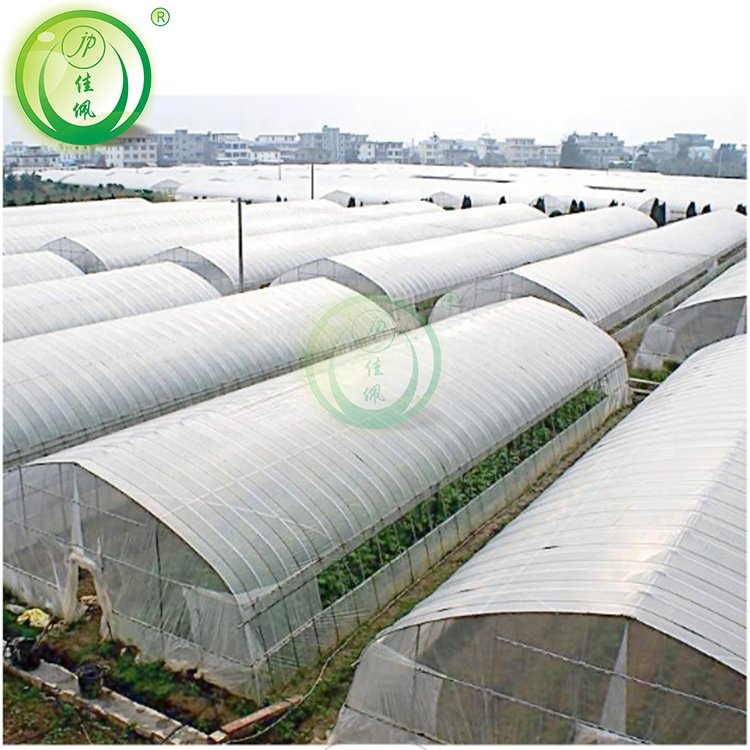 Professional manufacturers chinese agricultural intelligent film serre invernadero multi-span tomato greenhouse structure