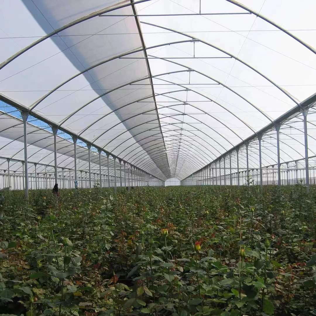 Agriculture greenhouse frame multispan vegetables growing tunnel multi span film greenhouse
