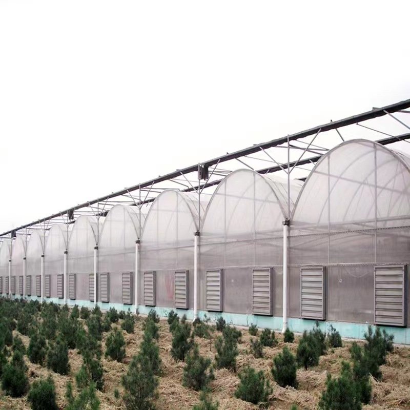 Agriculture greenhouse frame multispan vegetables growing tunnel multi span film greenhouse